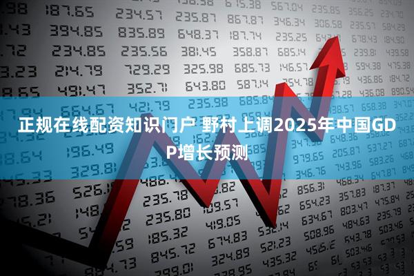 正规在线配资知识门户 野村上调2025年中国GDP增长预测