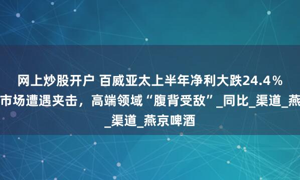 网上炒股开户 百威亚太上半年净利大跌24.4％：中国市场遭遇夹击，高端领域“腹背受敌”_同比_渠道_燕京啤酒